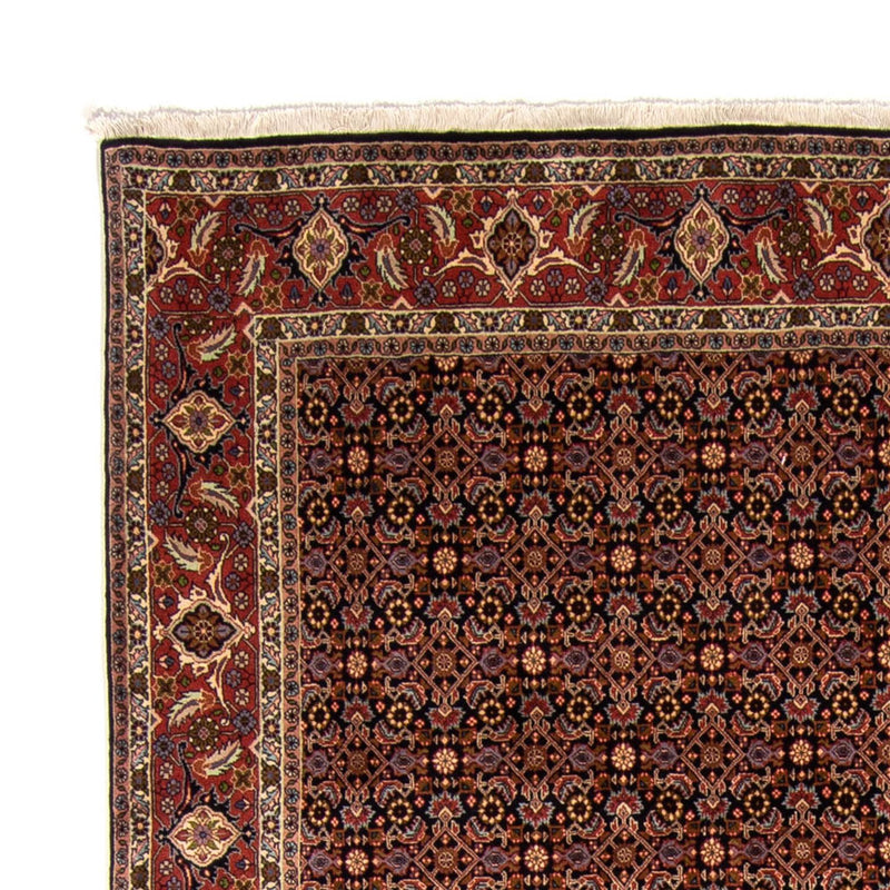 Bidjar Tapete 245x345cm - Tapete persa