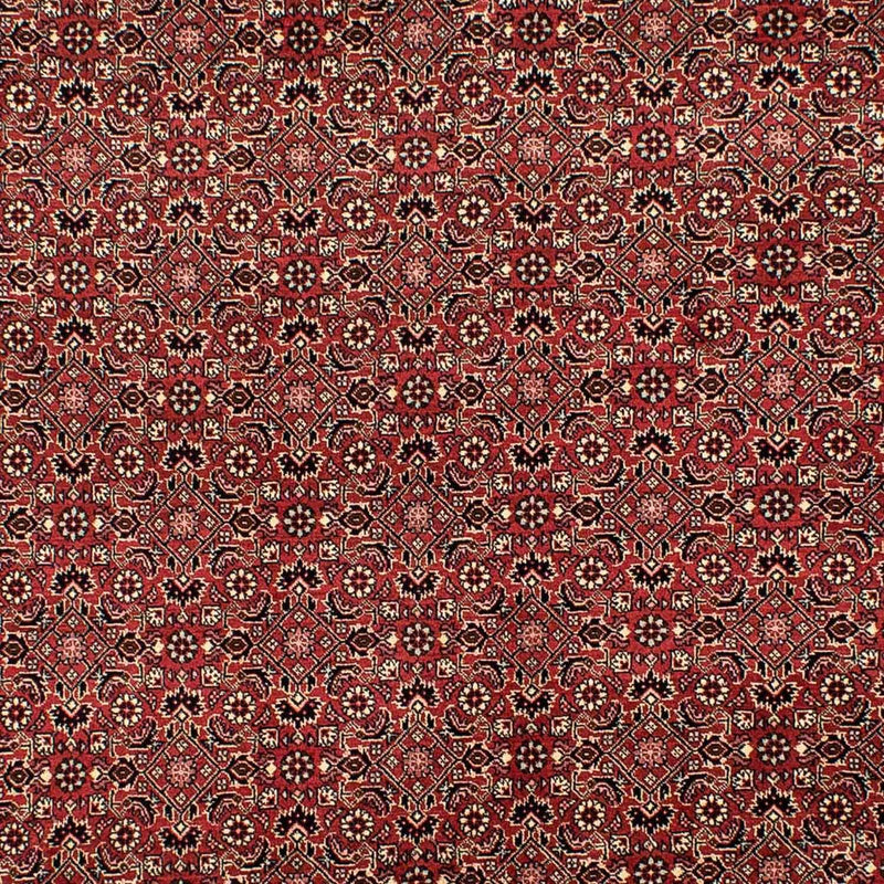 Bidjar Tapete 198x305cm - Tapete persa