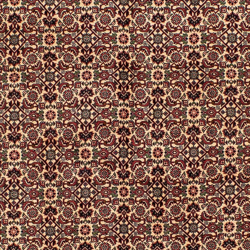 Bidjar Tapete 249x172cm - Tapete persa