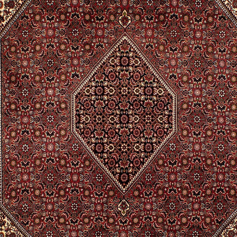 Bidjar Tapete 293x198cm - Tapete persa
