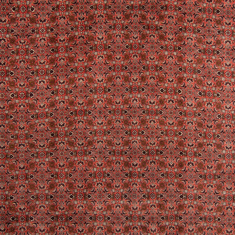 Bidjar Tapete 357x248cm - Tapete persa