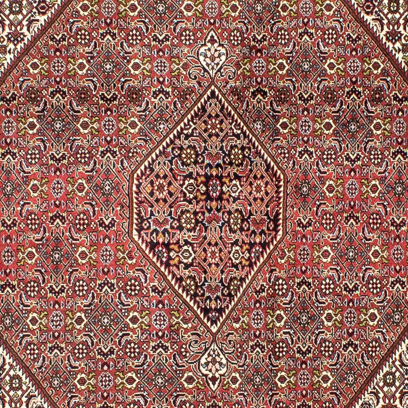 Tapete Persa - Bijar - 251 x 174 cm - vermelho claro