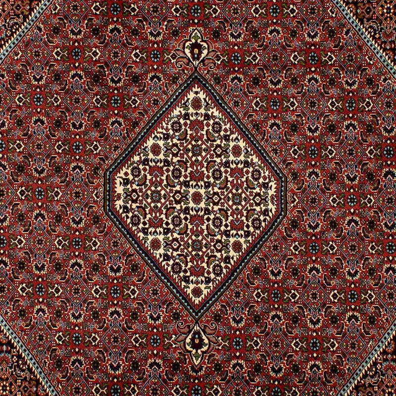 Bidjar Tapete 300x202cm - Tapete persa