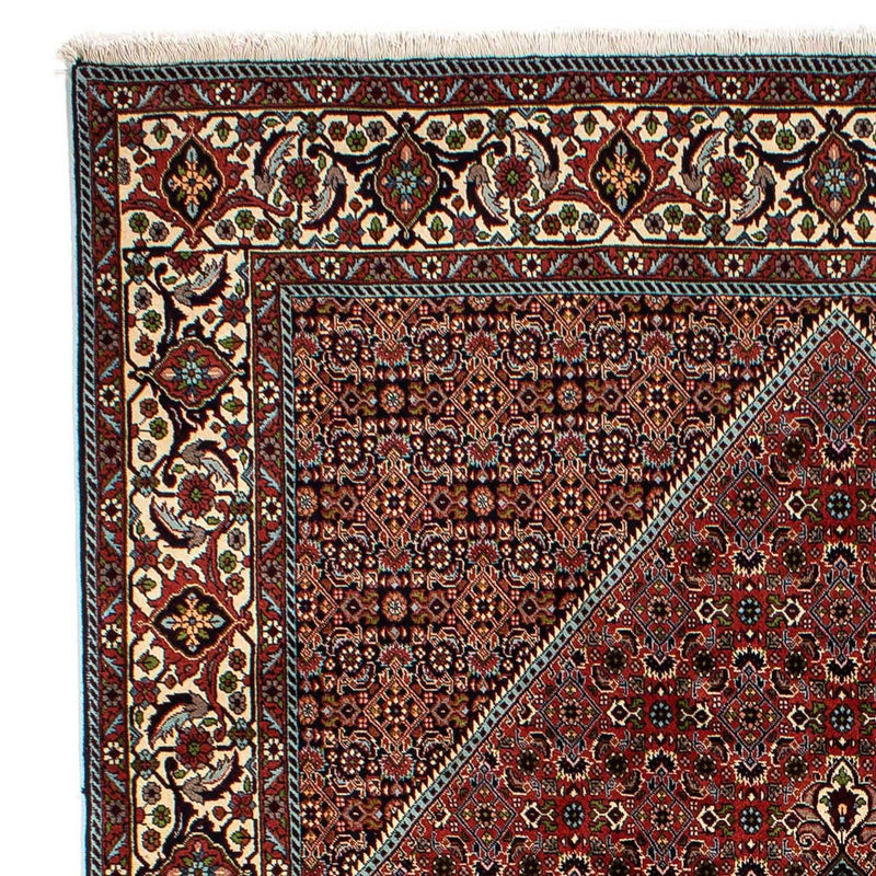 Bidjar Tapete 300x202cm - Tapete persa