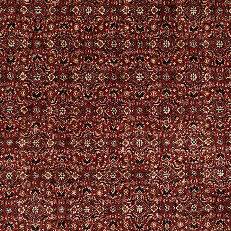Bidjar Tapete 275x196cm - Tapete persa
