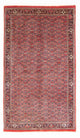 Bidjar Tapete 154x90cm - Tapete persa