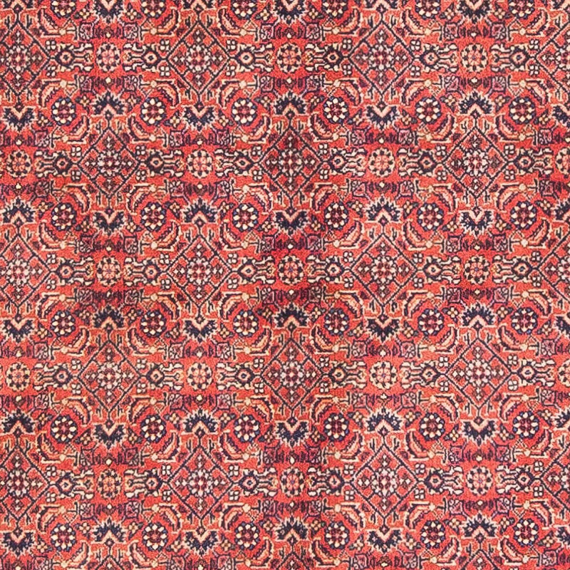 Bidjar Tapete 154x90cm - Tapete persa