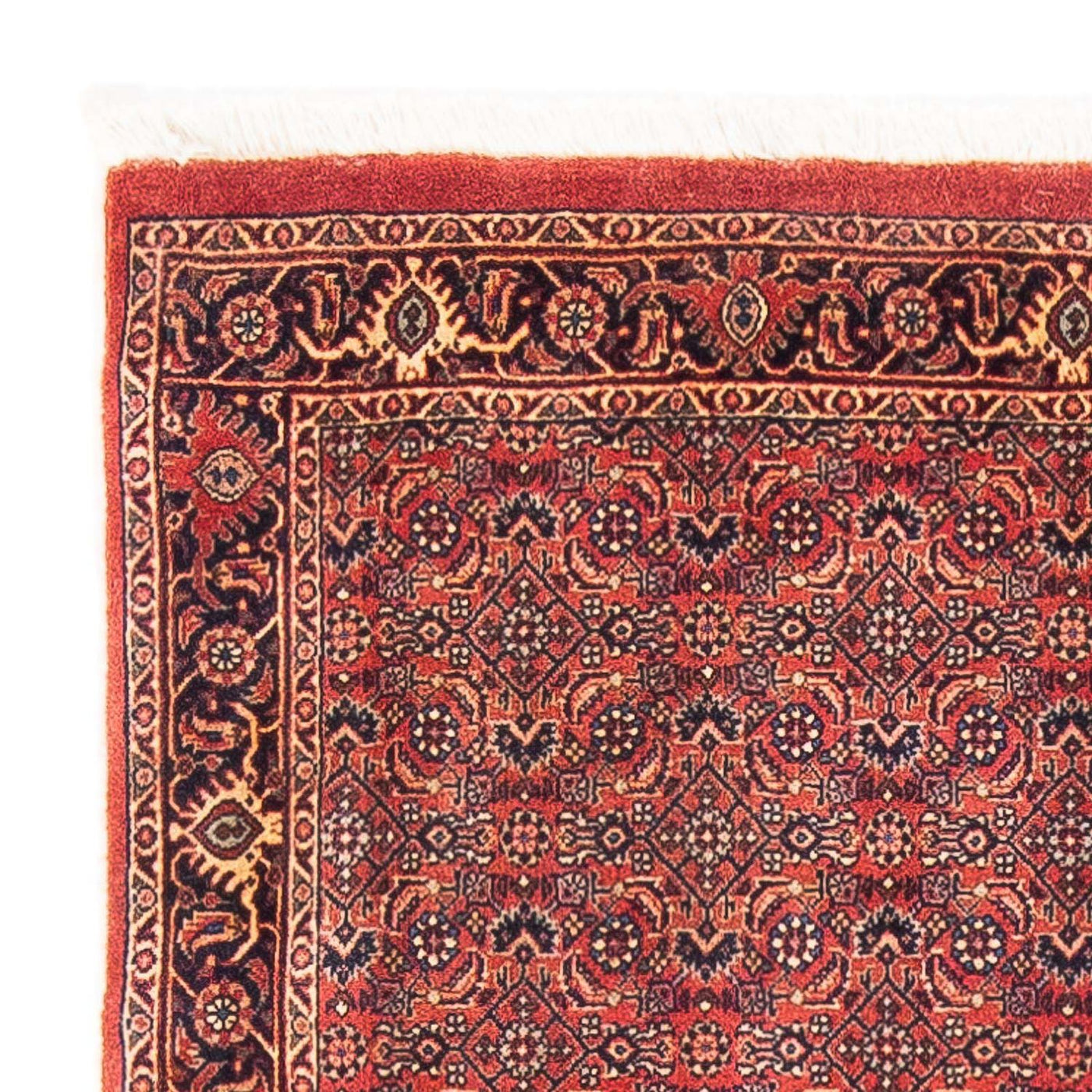 Bidjar Tapete 154x90cm - Tapete persa