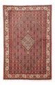 Bidjar Tapete 250x169cm - Tapete persa