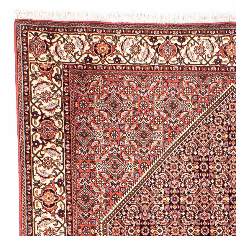 Bidjar Tapete 250x169cm - Tapete persa