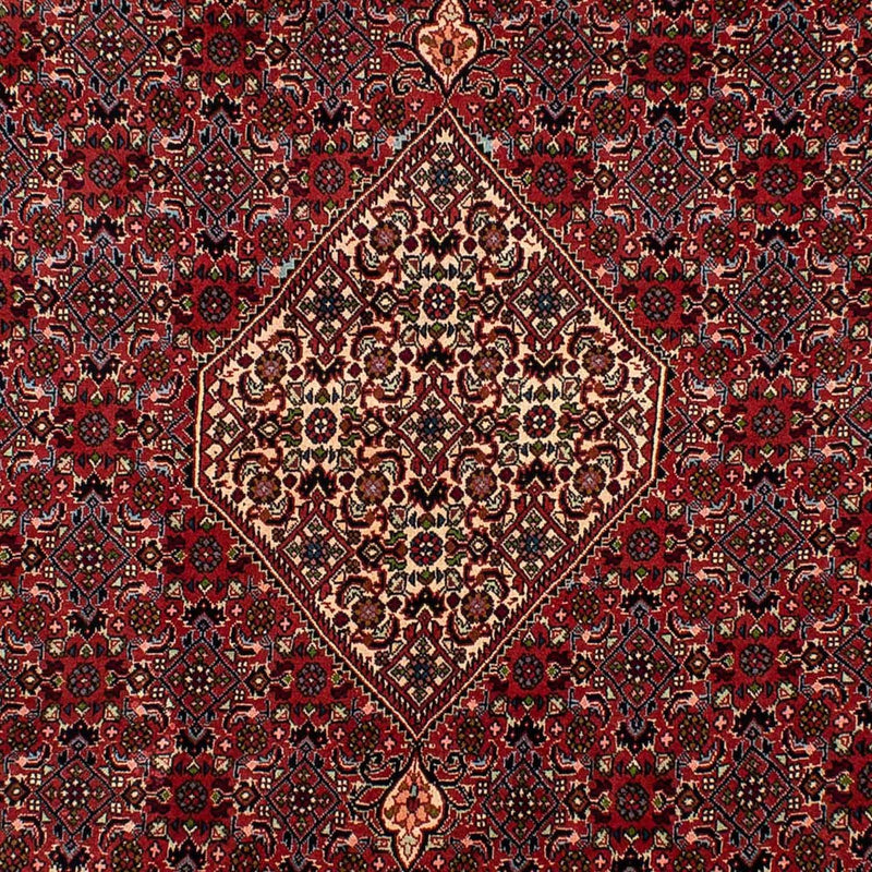 Bidjar Tapete 290x206cm - Tapete persa