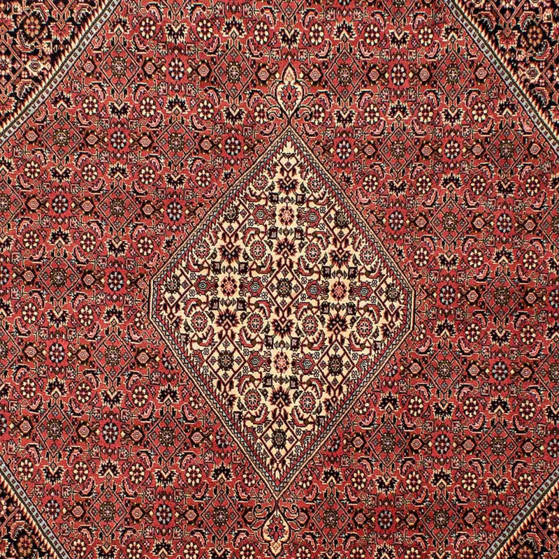 Bidjar Tapete 205x293cm - Tapete persa