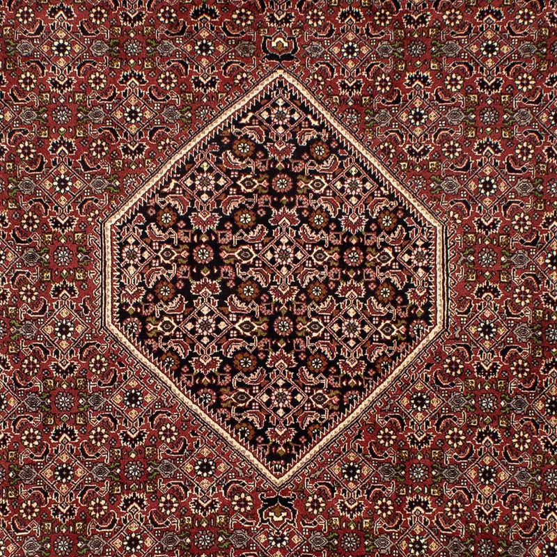 Tapete Persa - Bijar - 300 x 197 cm - castanho