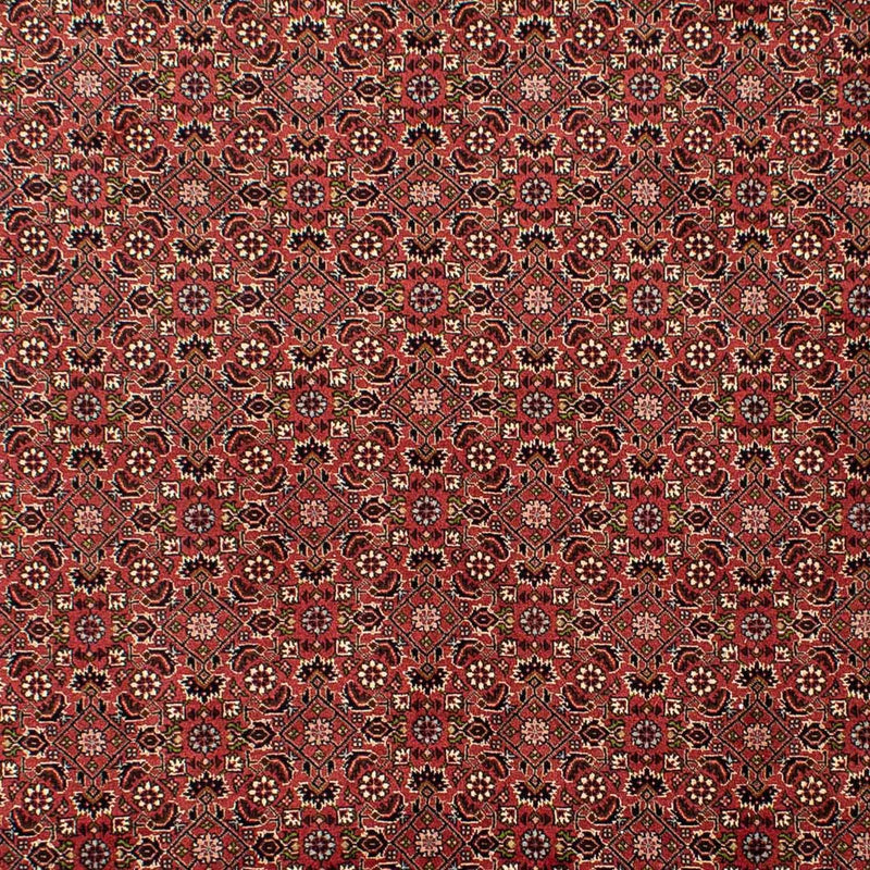 Bidjar Tapete 310x196cm - Tapete persa