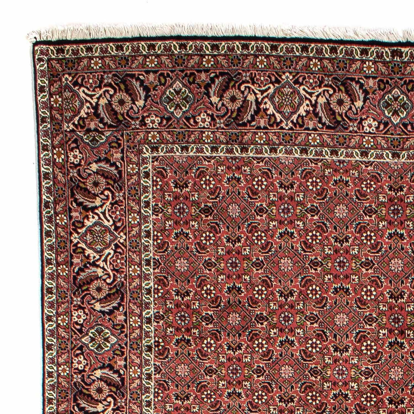 Bidjar Tapete 310x196cm - Tapete persa