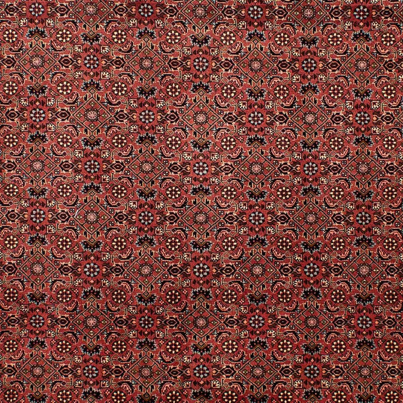 Bidjar Tapete 292x203cm - Tapete persa
