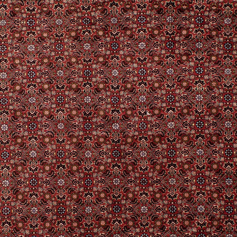 Bidjar Tapete 198x288cm - Tapete persa