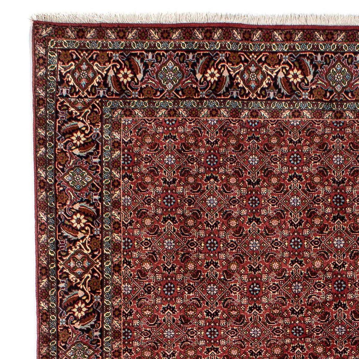Bidjar Tapete 198x288cm - Tapete persa