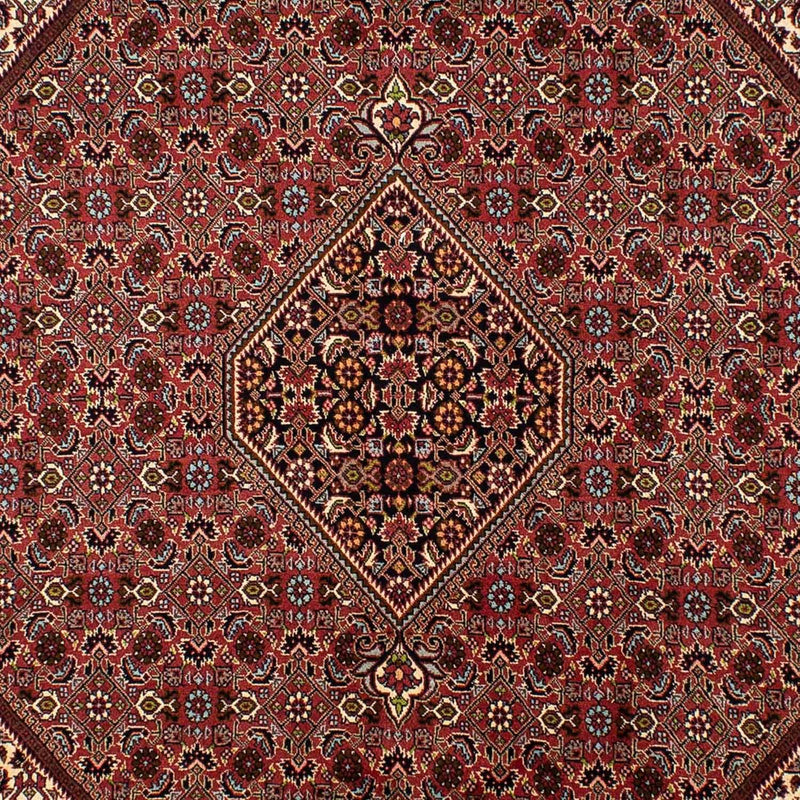 Bidjar Tapete 297x197cm - Tapete persa