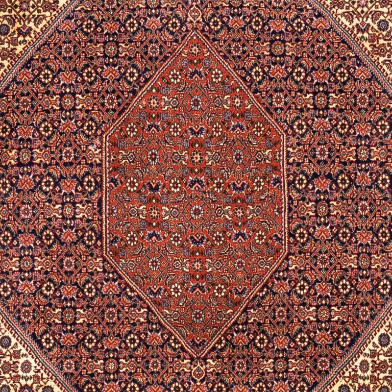 Bidjar - Takab Tapete 340x254cm - Tapete persa