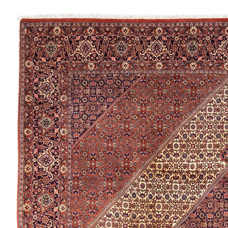 Bidjar - Takab Tapete 340x254cm - Tapete persa