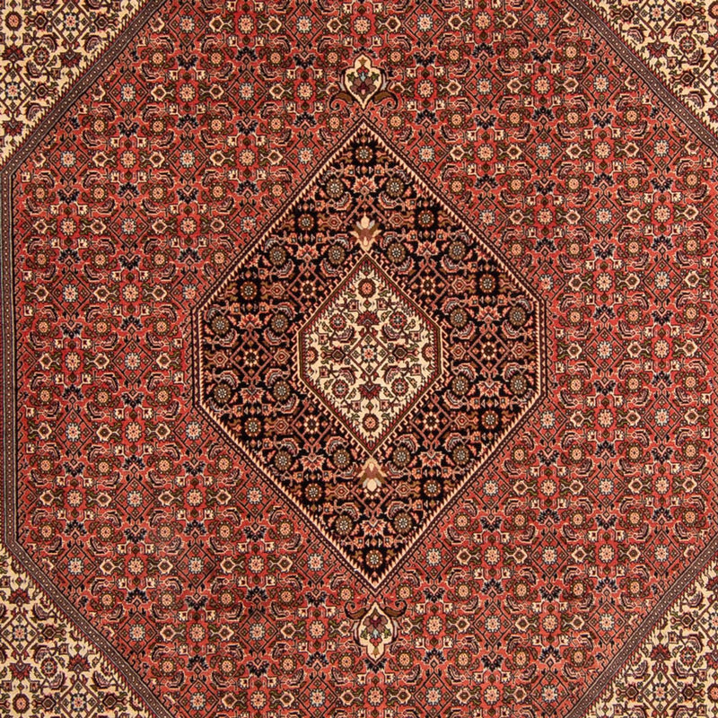 Bidjar Tapete 250x343cm - Tapete persa