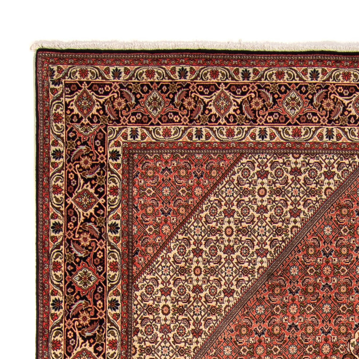 Bidjar Tapete 250x343cm - Tapete persa