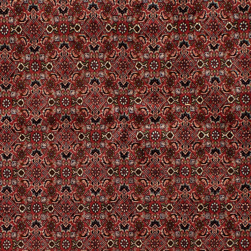 Bidjar Tapete 177x245cm - Tapete persa