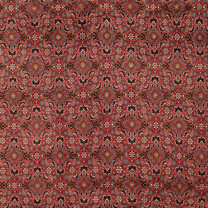 Bidjar Tapete 293x206cm - Tapete persa