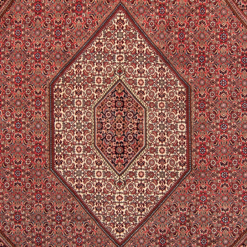 Bidjar Tapete 350x248cm - Tapete persa