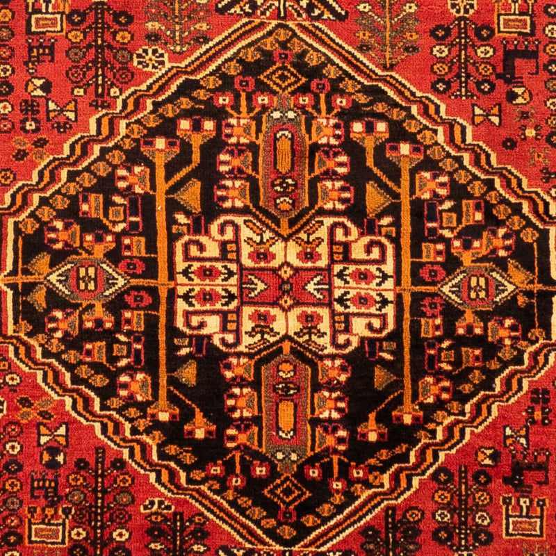 Qashqai Tapete 261x171cm - Tapete persa