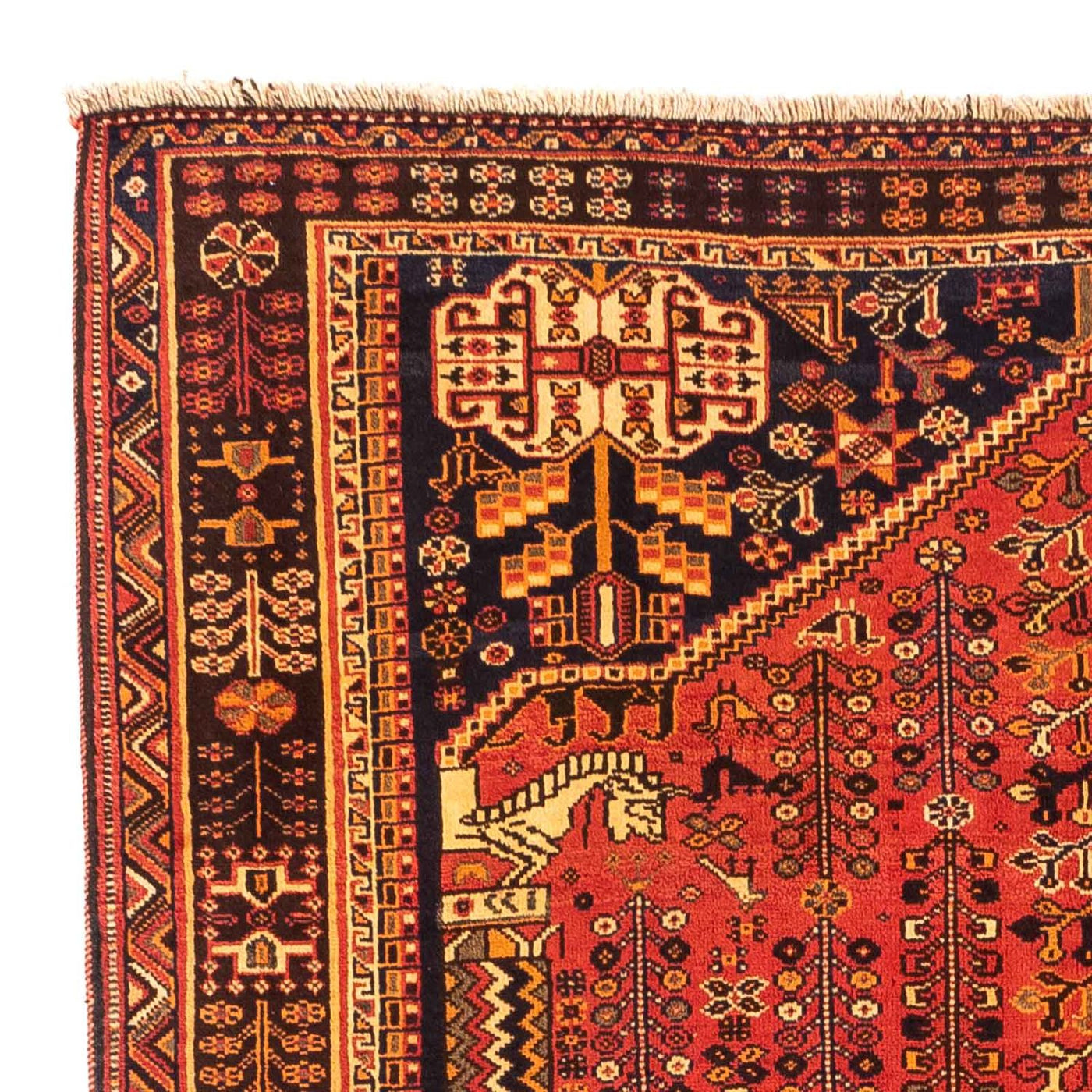 Qashqai Tapete 261x171cm - Tapete persa
