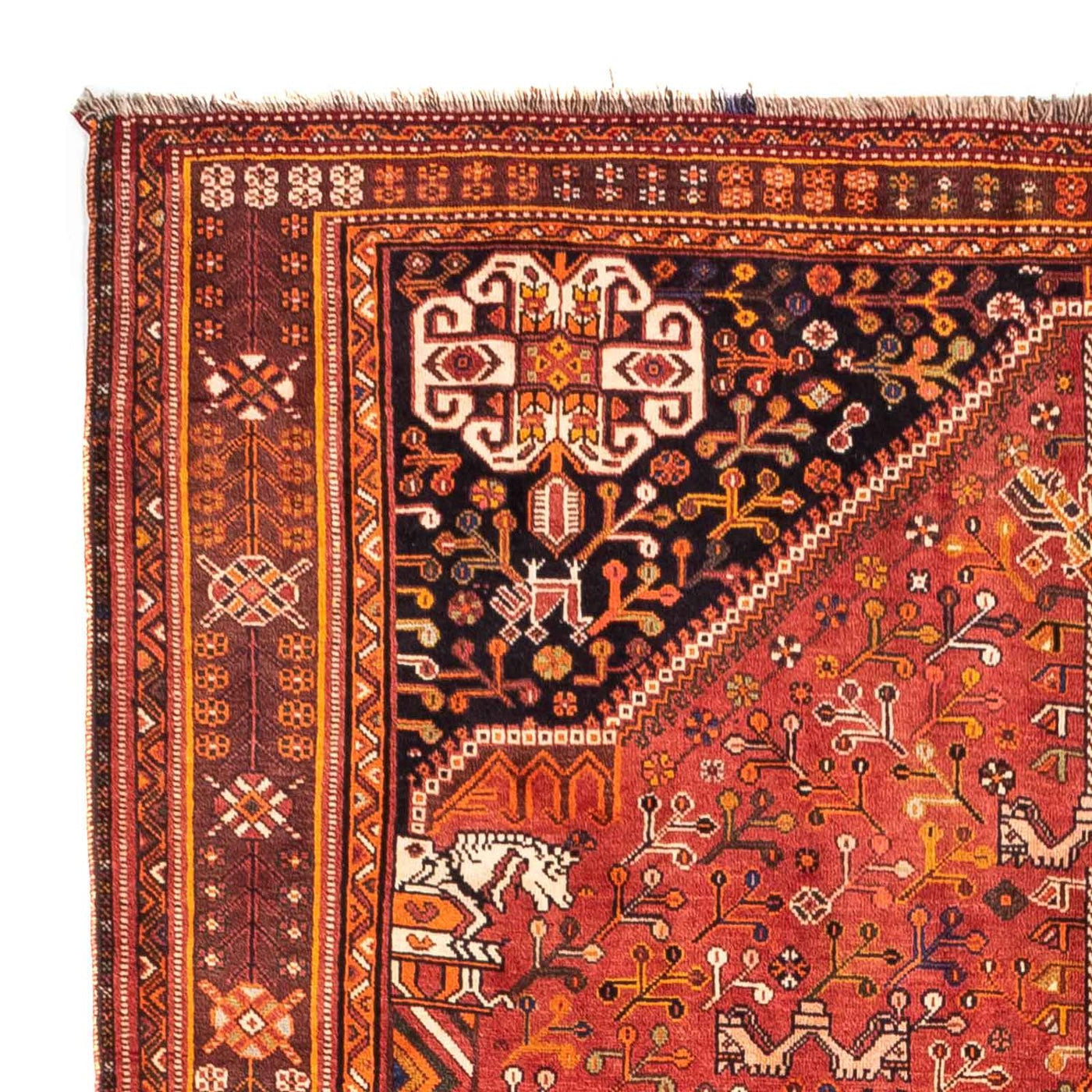 Qashqai Tapete 255x162cm - Tapete persa