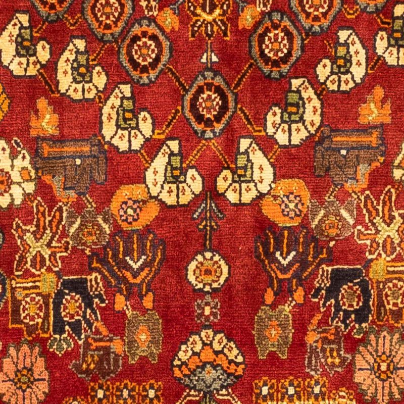 Qashqai Tapete 277x169cm - Tapete persa