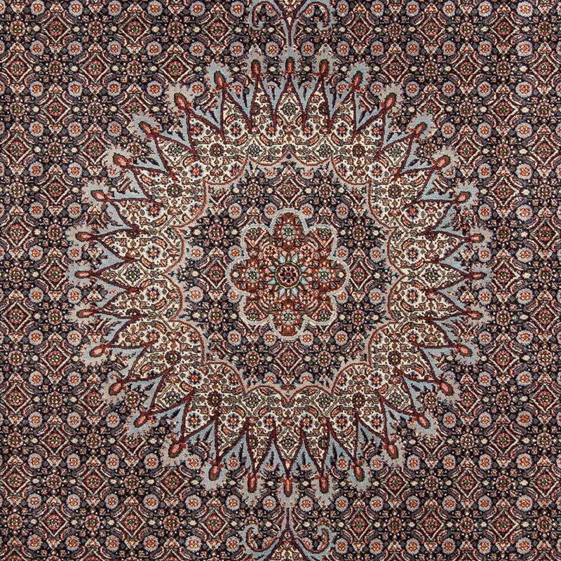 Moud Tapete 211x273cm - Tapete persa