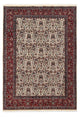 Moud Tapete 287x196cm - Tapete persa