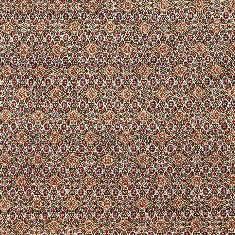 Moud Tapete 346x238cm - Tapete persa