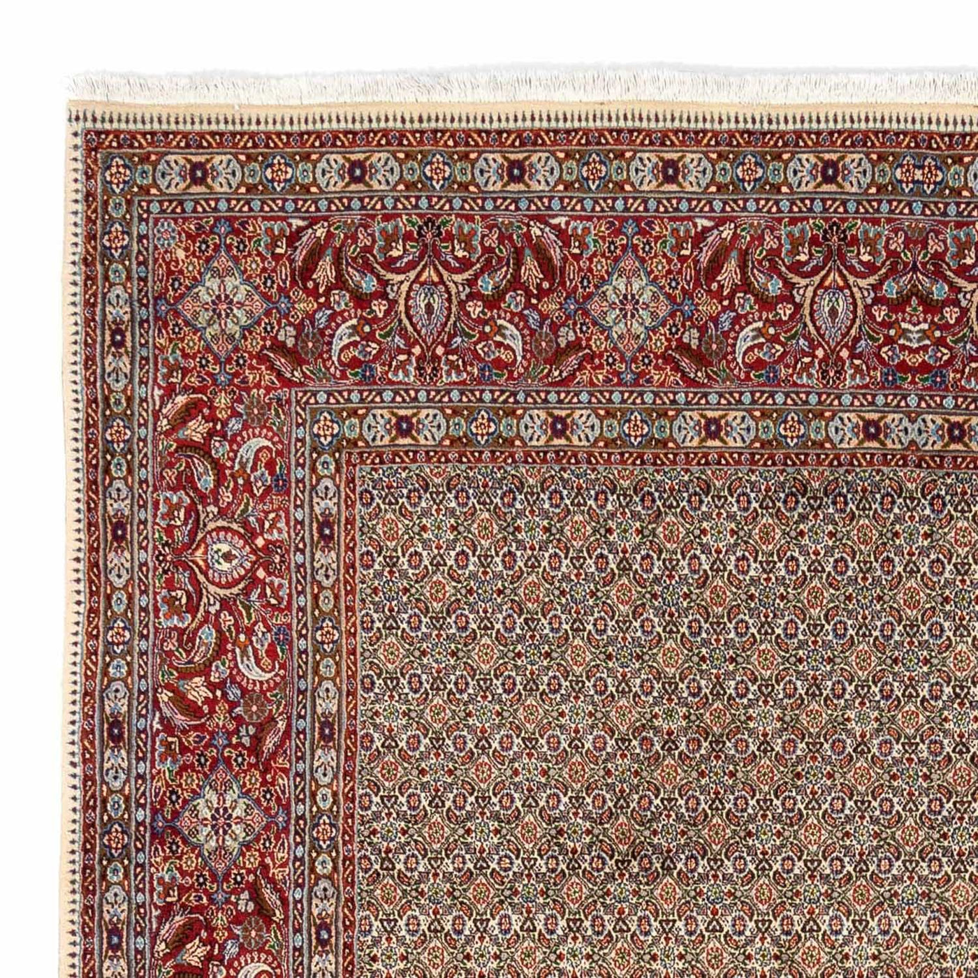 Moud Tapete 346x238cm - Tapete persa
