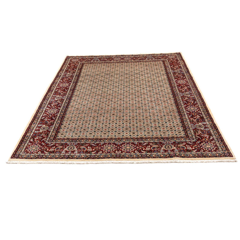Moud Tapete 345x244cm - Tapete persa