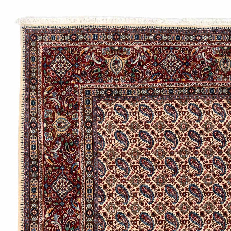 Moud Tapete 298x248cm - Tapete persa