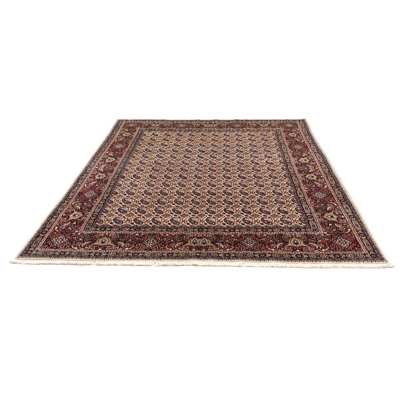 Moud Tapete 298x248cm - Tapete persa