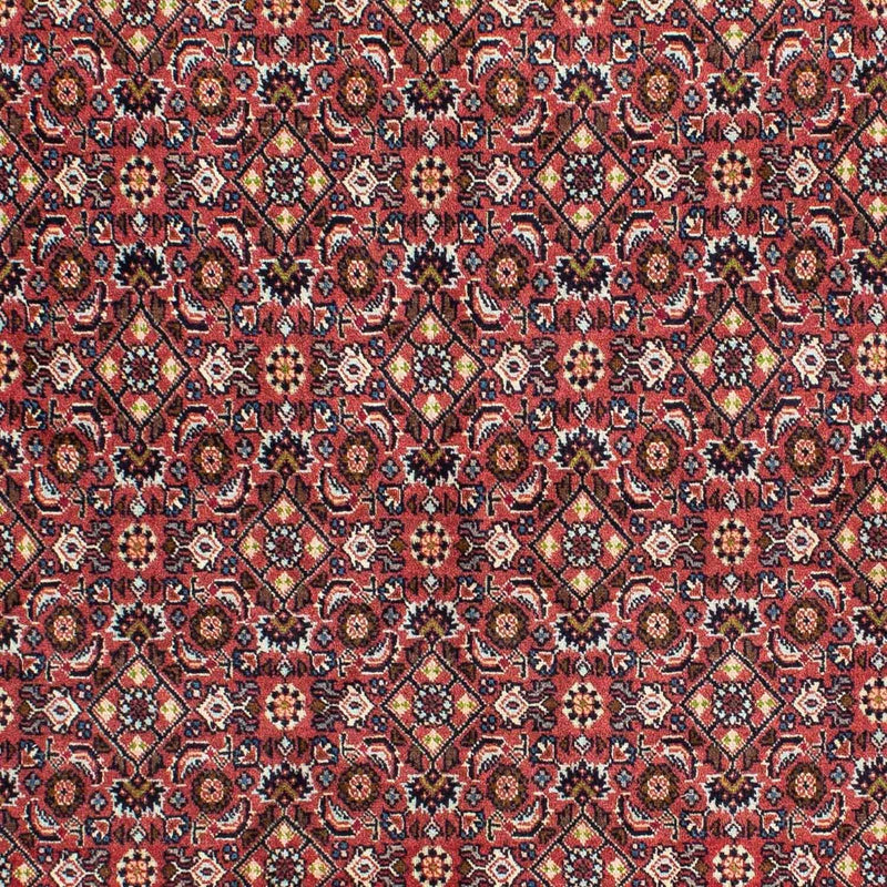 Bidjar - Zanjan Tapete 140x215cm - Tapete persa