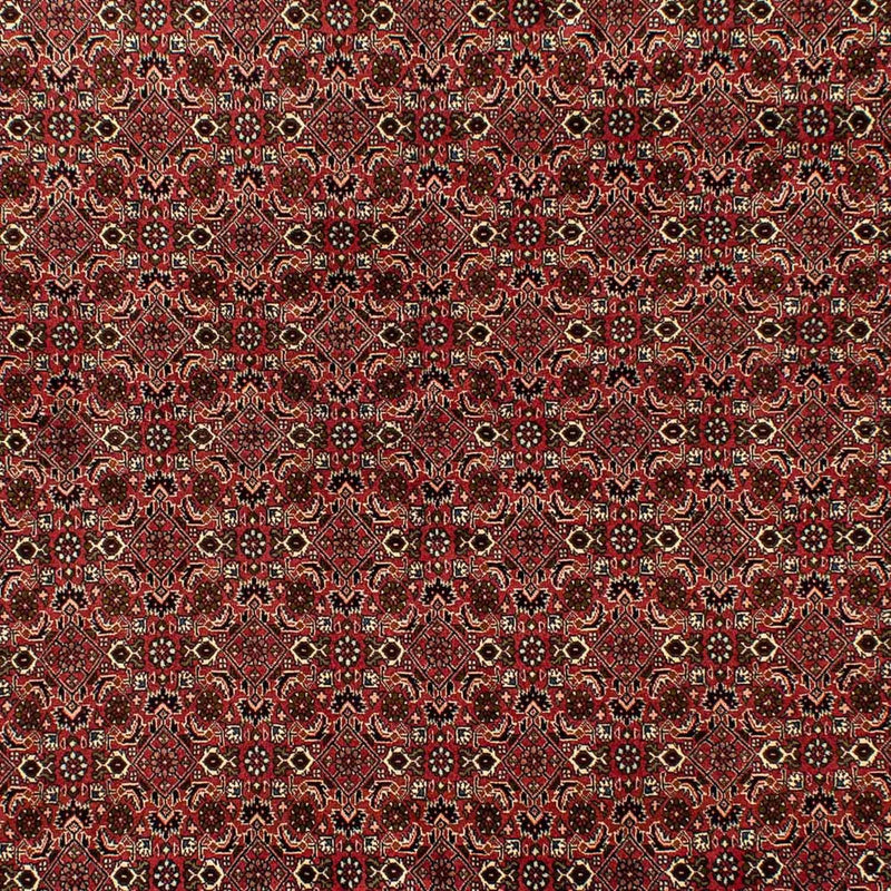 Bidjar Tapete 284x202cm - Tapete persa