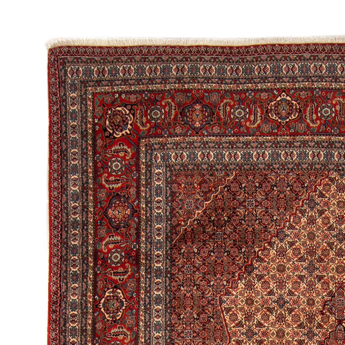 Sarab Tapete 244x333cm - Tapete persa