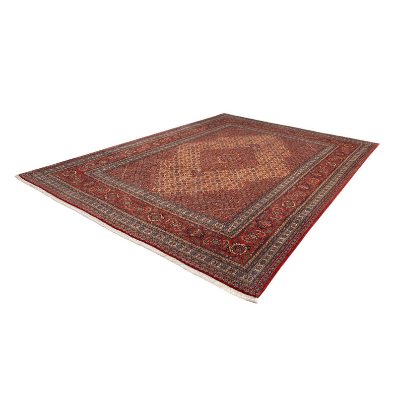 Sarab Tapete 244x333cm - Tapete persa