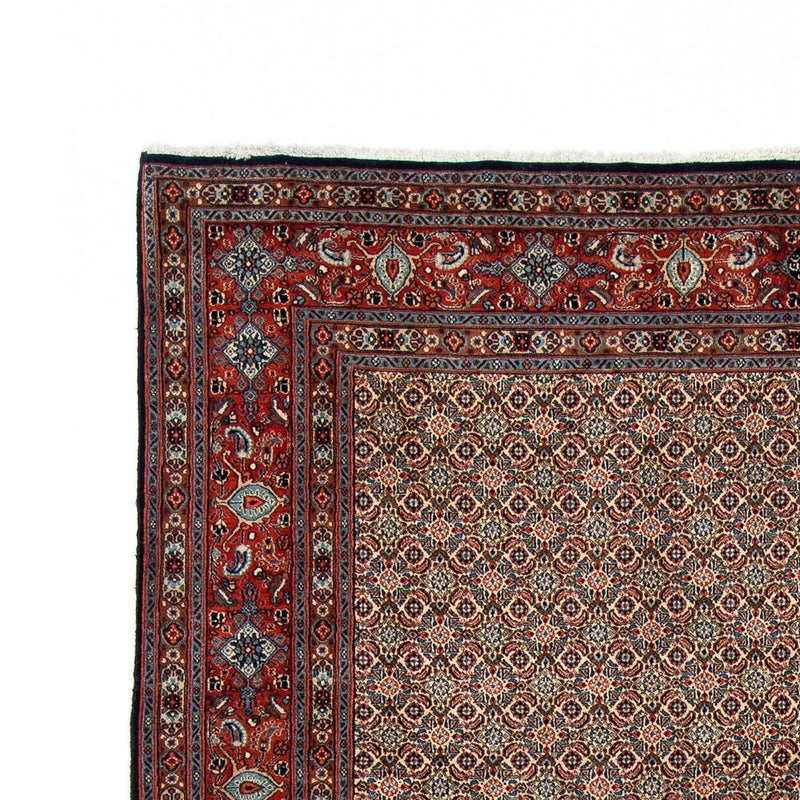 Moud Tapete 303x204cm - Tapete persa
