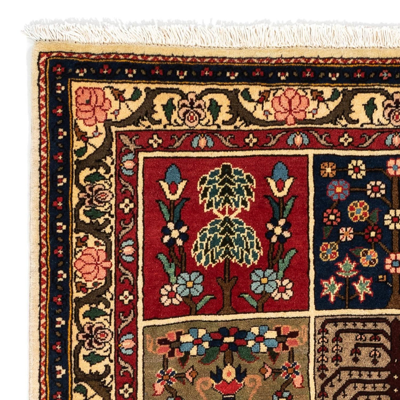 Bakhtiari Tapete 153x110cm - Tapete persa