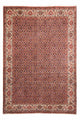 Bidjar Tapete 297x202cm - Tapete persa