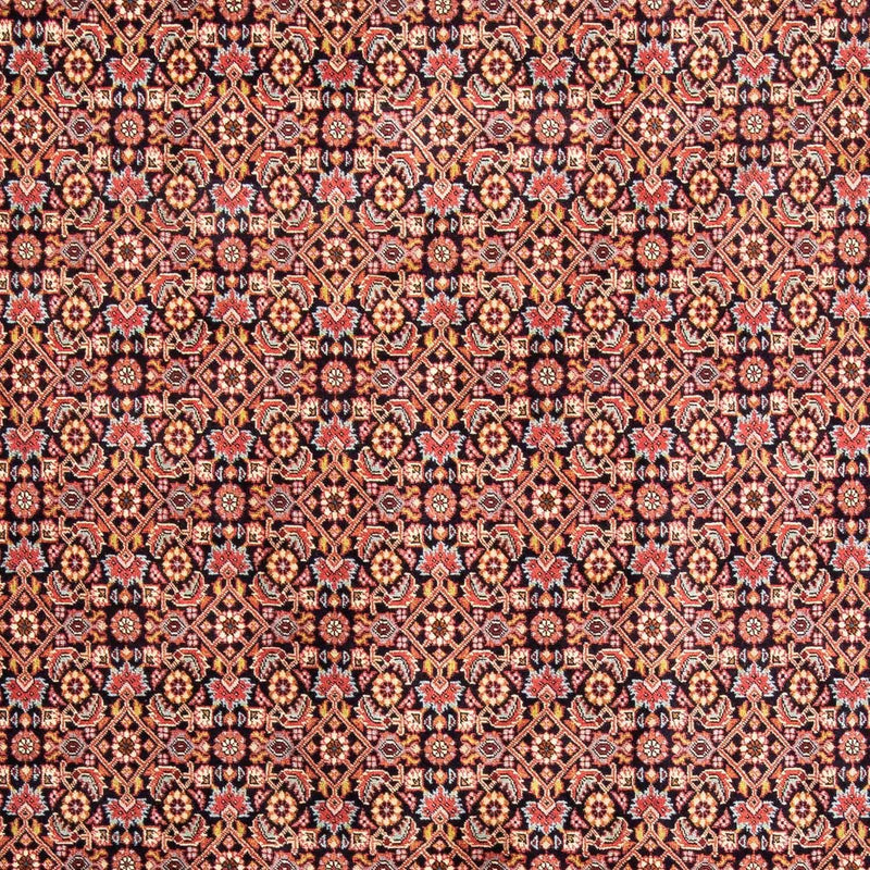 Bidjar Tapete 297x202cm - Tapete persa