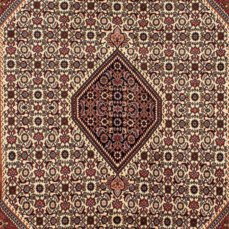 Bidjar Tapete 294x197cm - Tapete persa